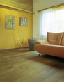 オークM080125.jpg